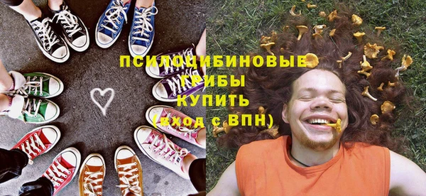 ешки Алексин