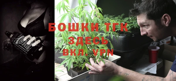 ешки Алексин
